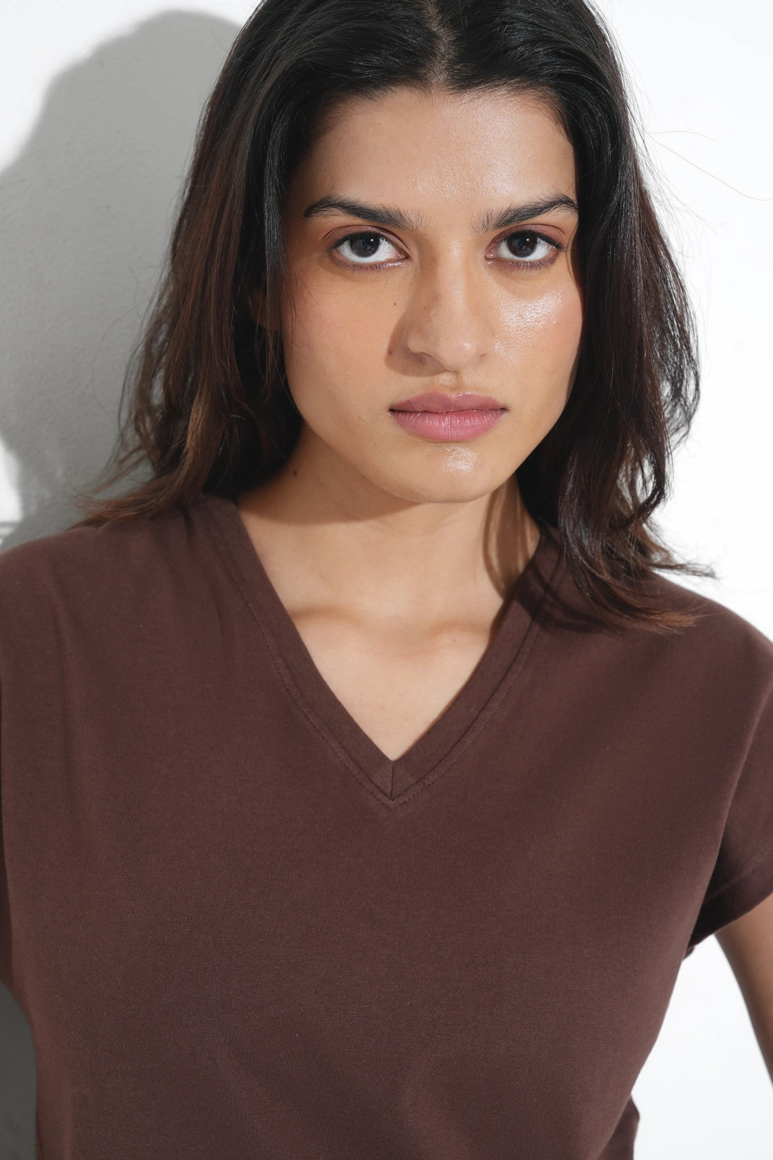 Brown Basic V-Neck T-Shirt