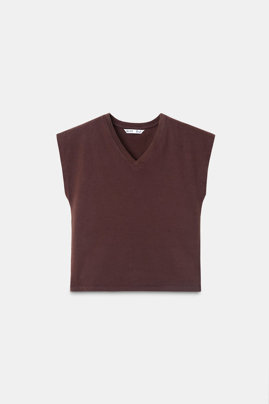 Brown Basic V-Neck T-Shirt