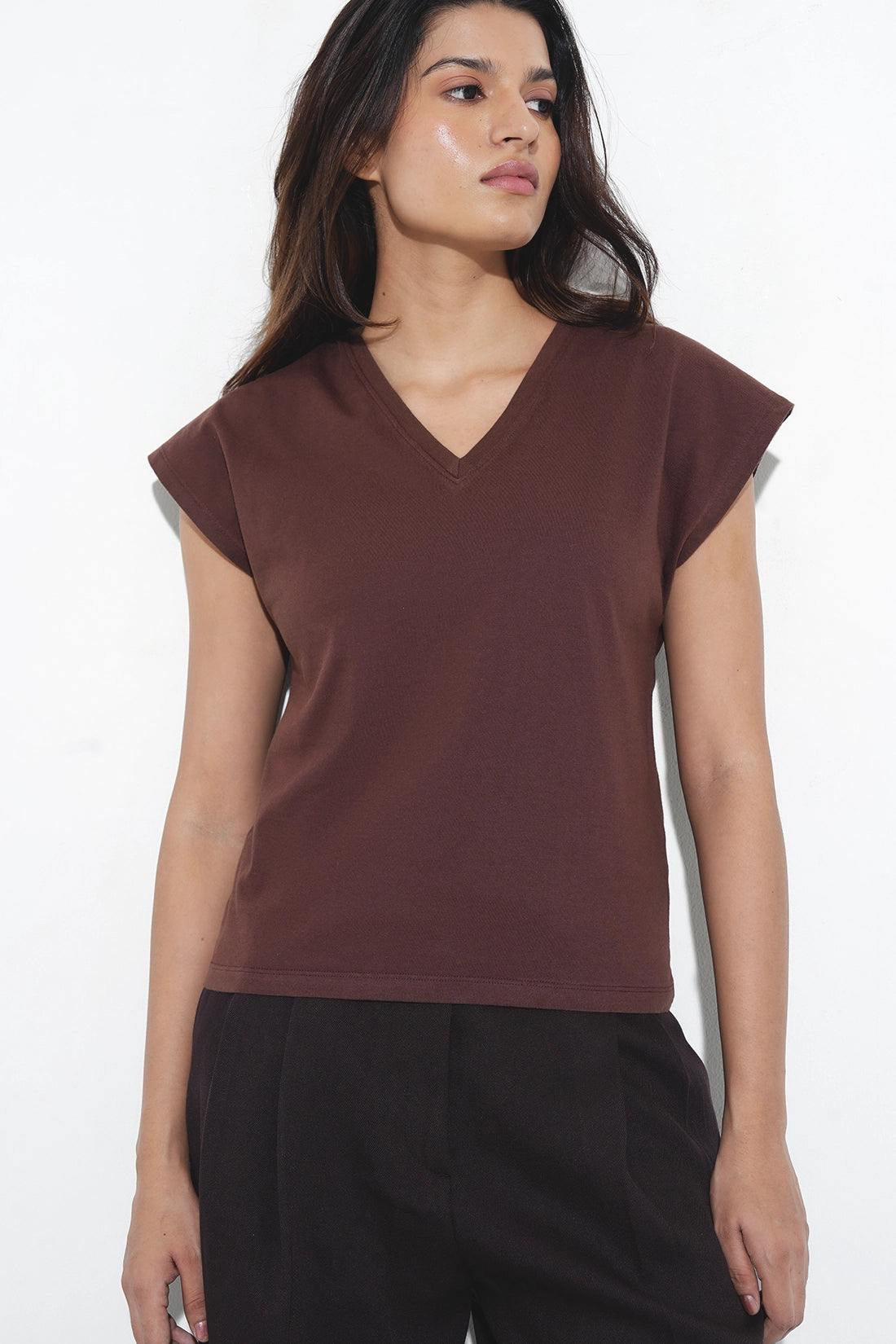 Brown Basic V-Neck T-Shirt