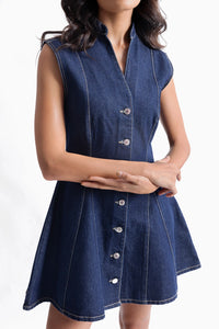 Denim Paneled Pleat Dress