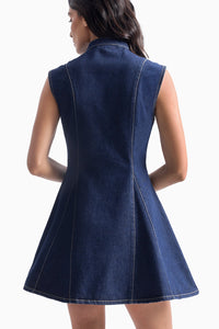 Denim Paneled Pleat Dress